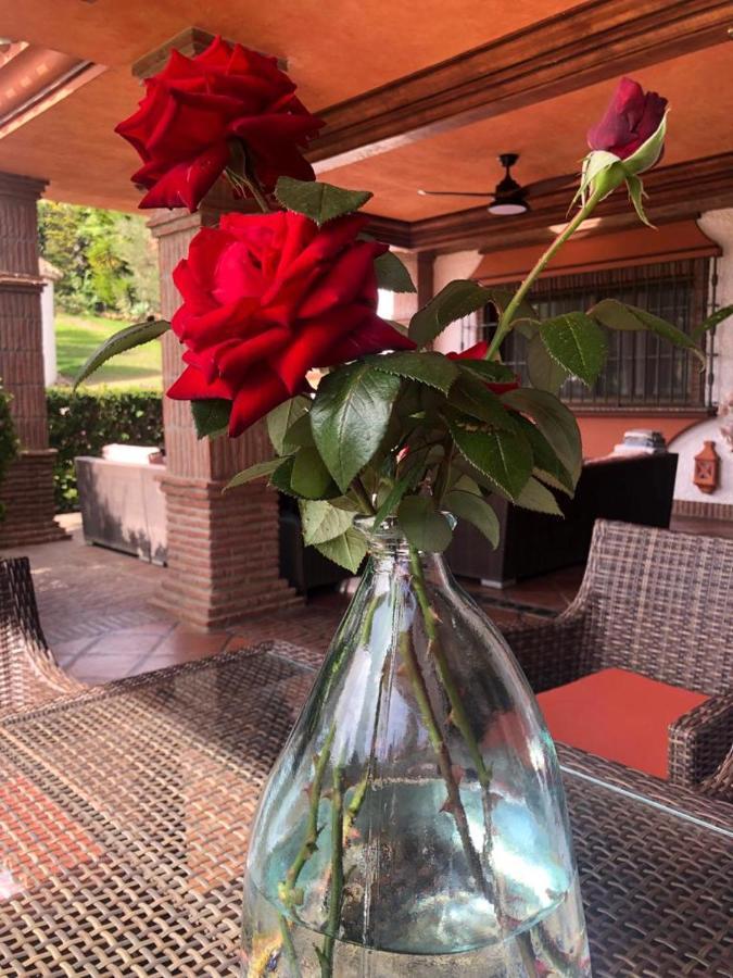 Authentic Andalucia Villa Marbella Exterior photo